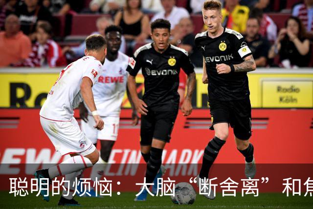 聪明的烦恼：大脑“断舍离”和焦虑的奇妙关系